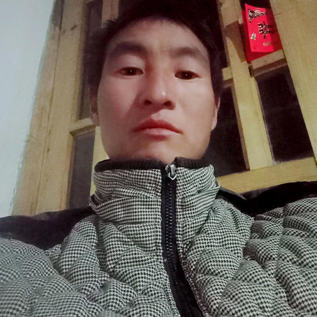 顾哥