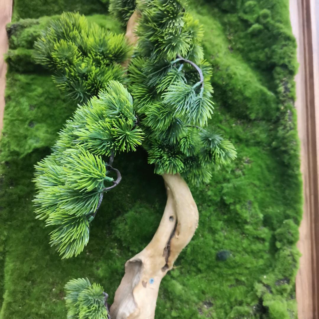 青春无悔