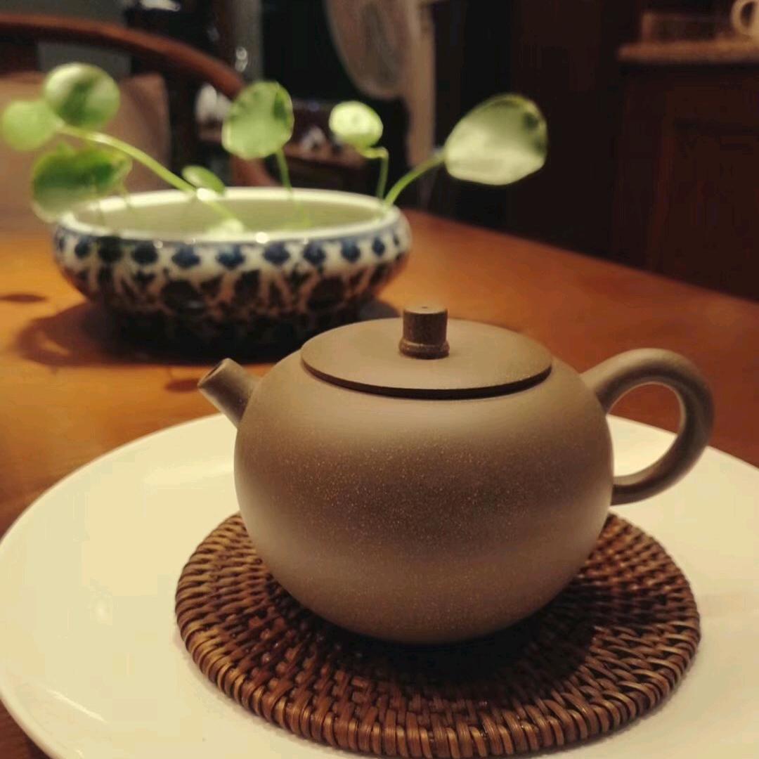 🐻鲁大大🐻