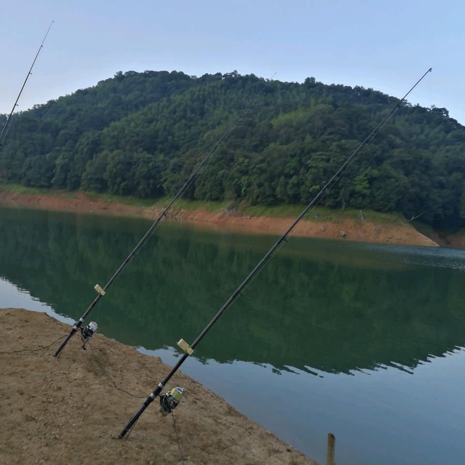 今勇