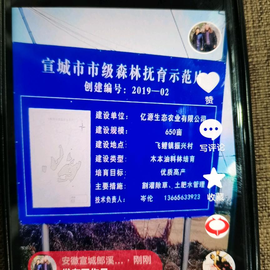 周来珍