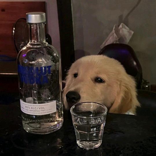 清风雨楼