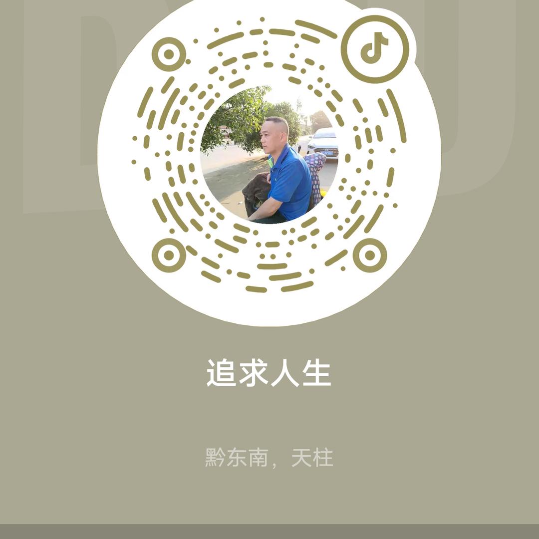 追求人生