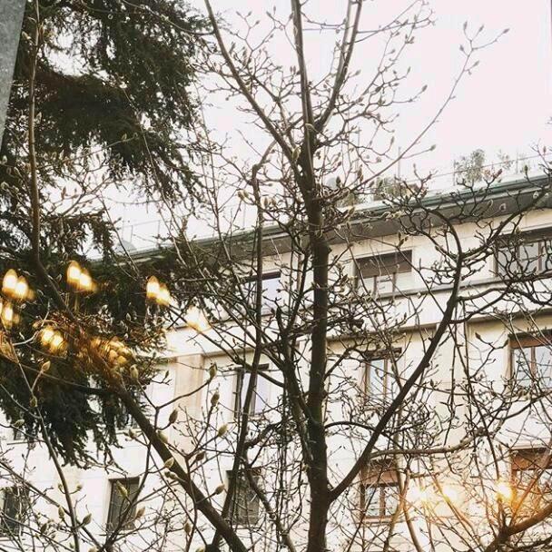 🌈调皮的(´｡･v