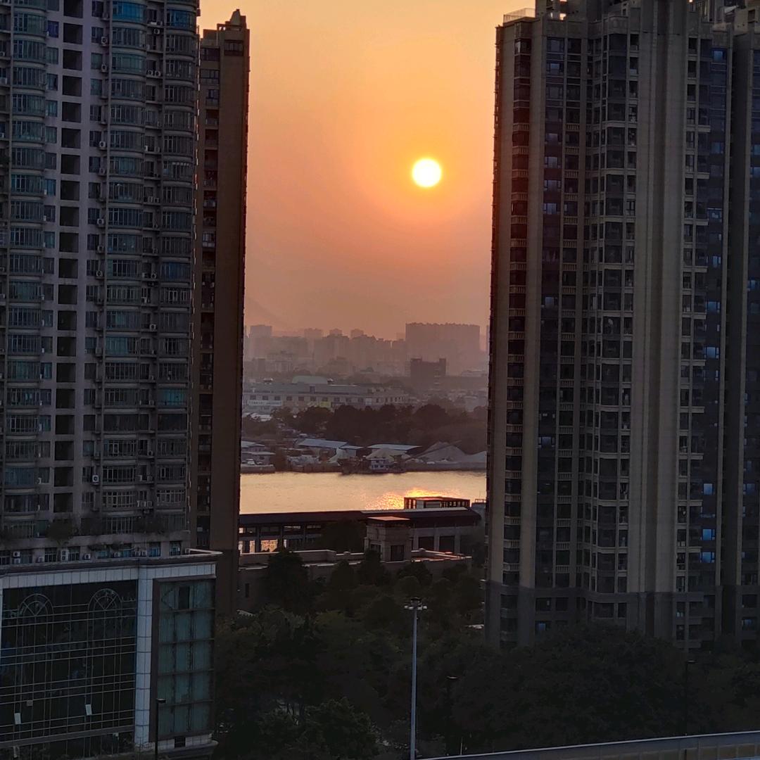 安尔碘