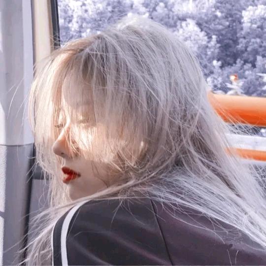 楊小羊
