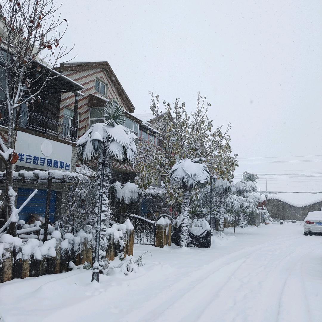 এ杯中烈酒໌ᮨ🚬敬余生🍶