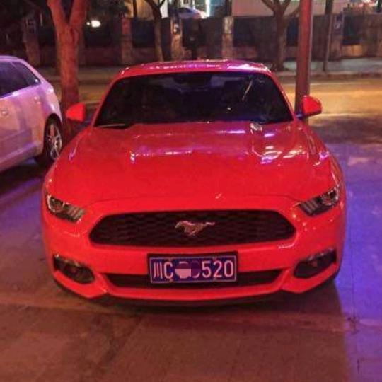 @雷老虎🔥🔥🔥