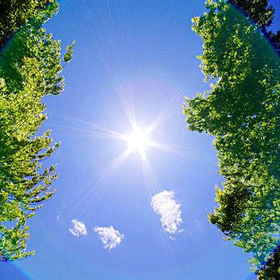 火麒麟《张安达》