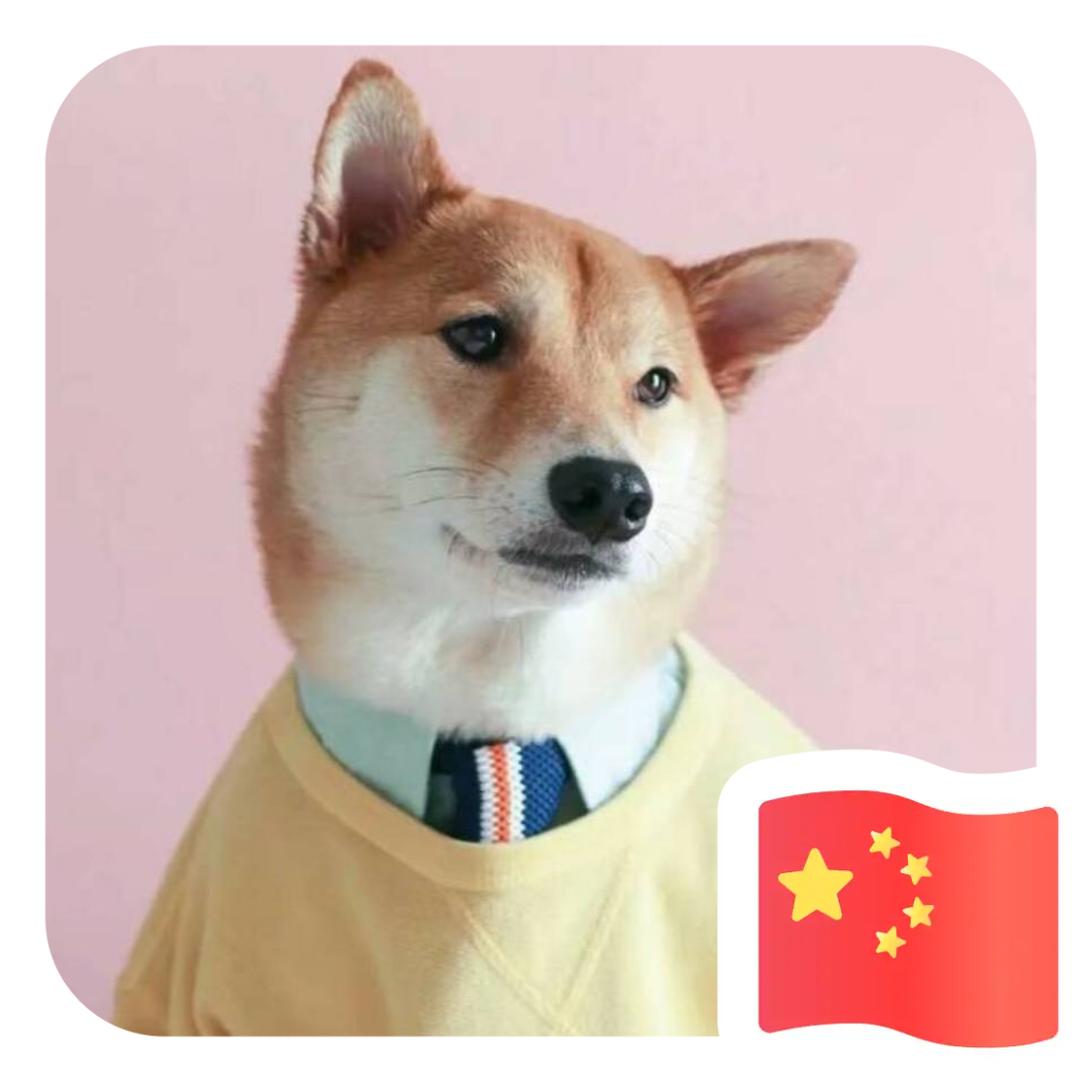豆猪