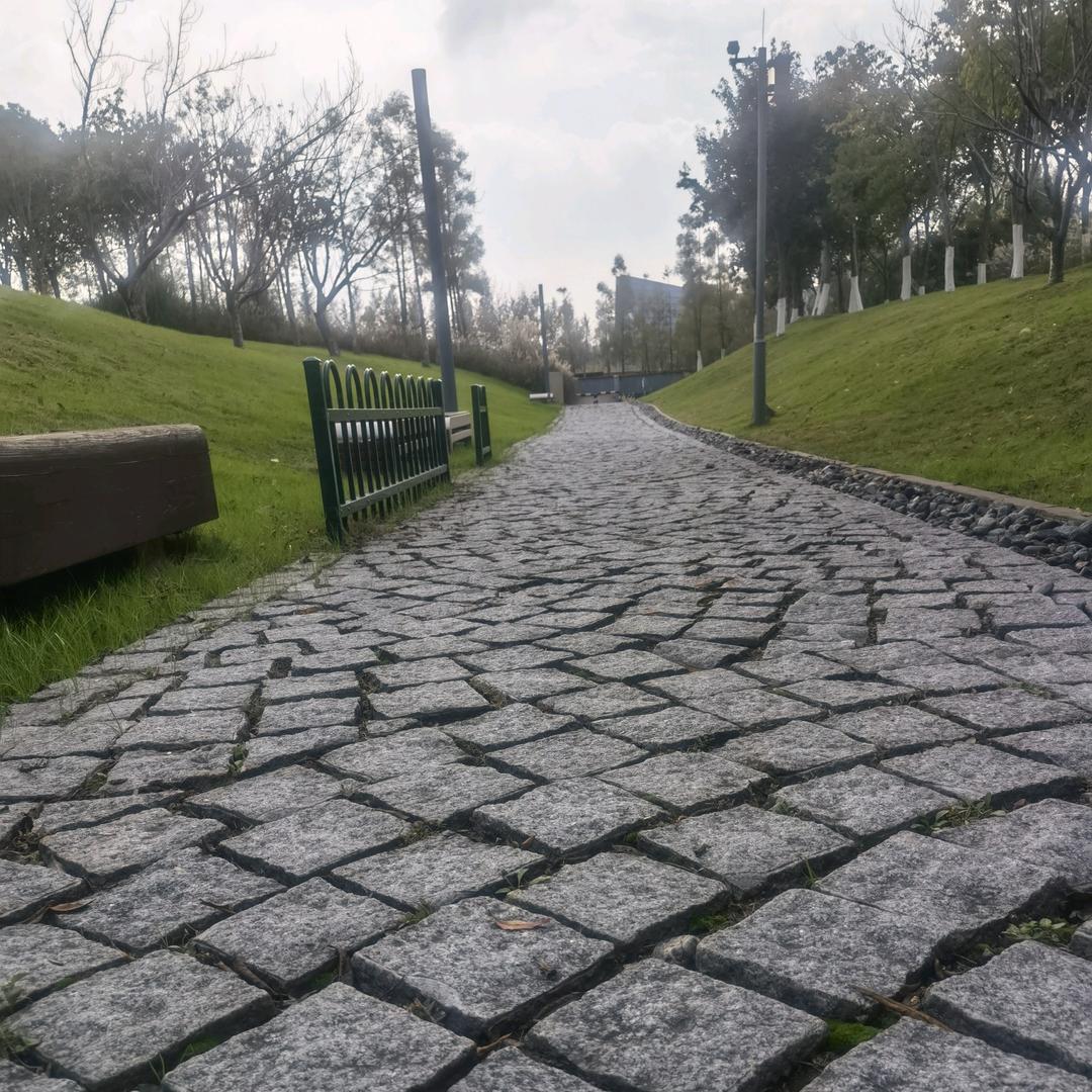 我很累但我无路可退