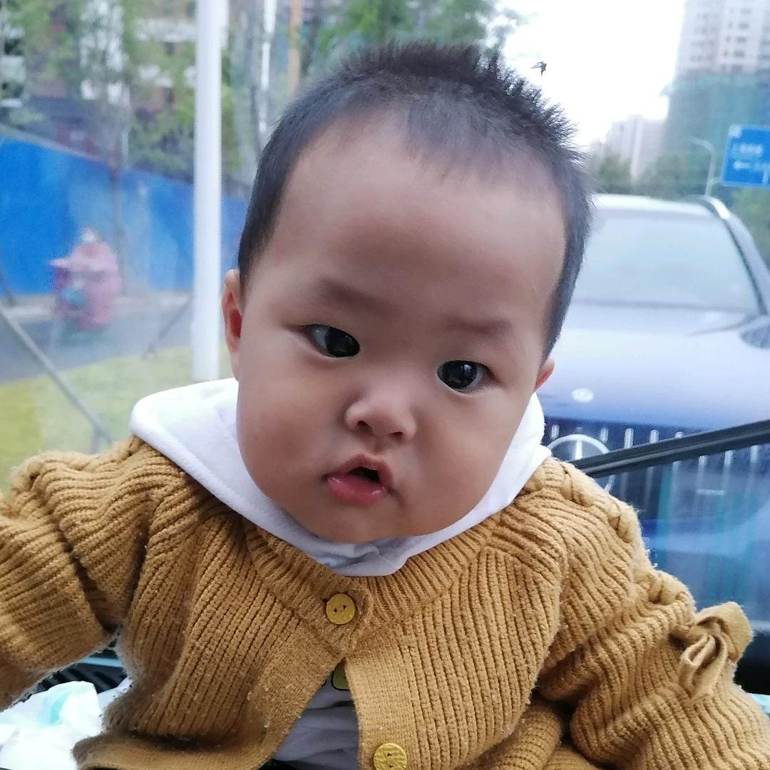 好运来鸿运当头