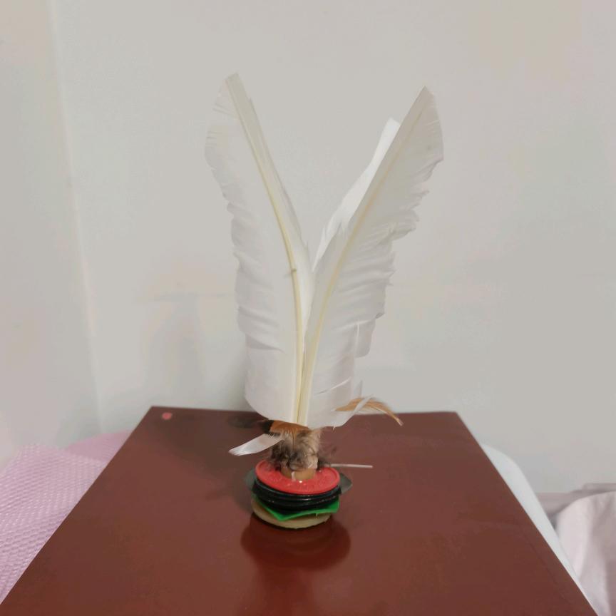 毽球+乒乓球+站桩=完美