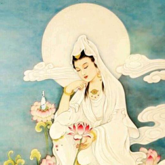 庆阳市江云酒店用品