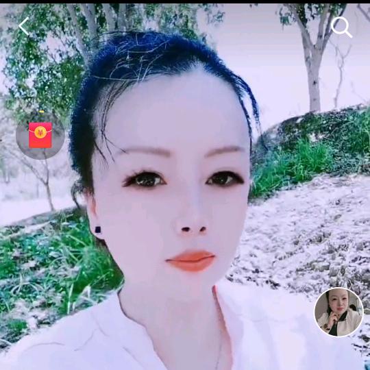 毛毛虫