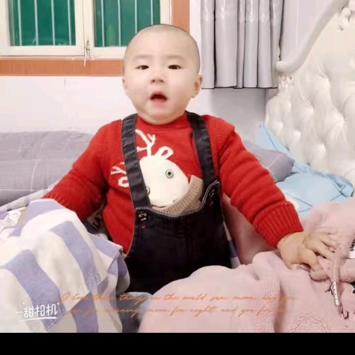 陈家小金子