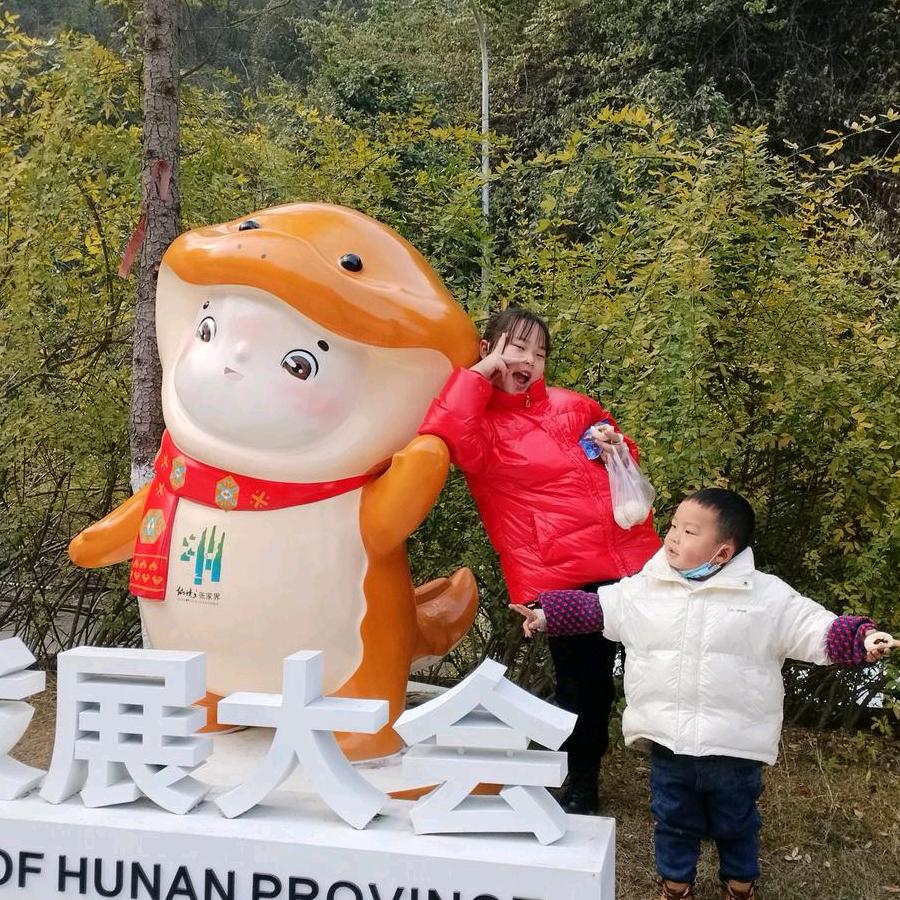 楠木小何