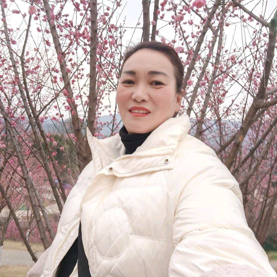 新店雅迪电动车授权店