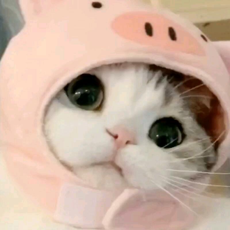 快到碗里来