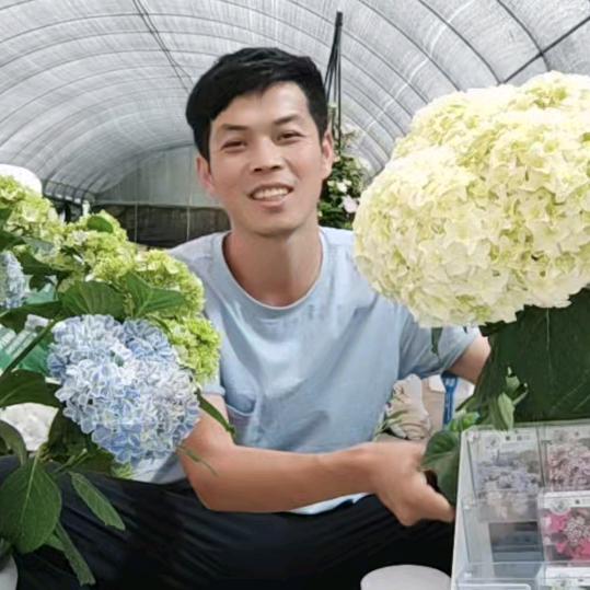 扶若 花老板