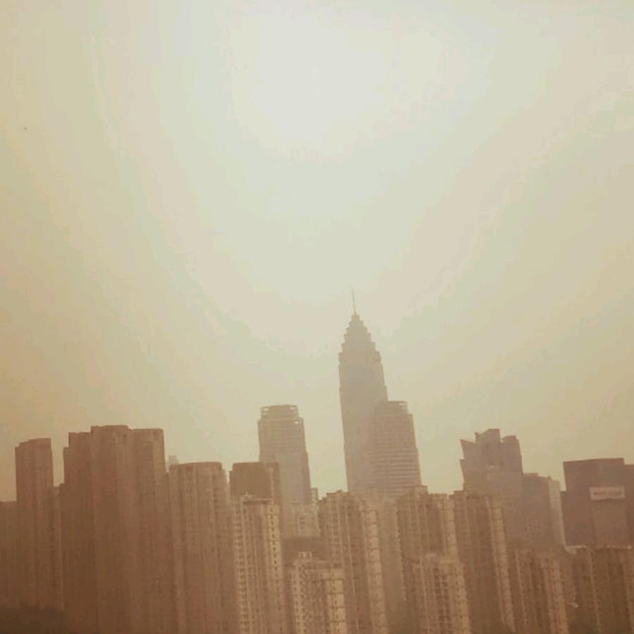 公孙王未己头像