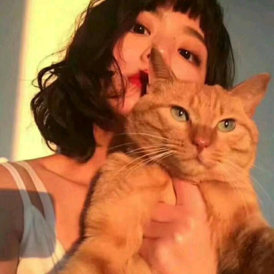 🌈烂欧舅舅🌈