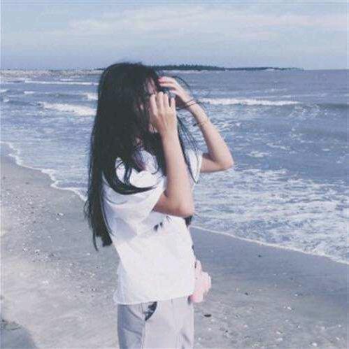 小莲