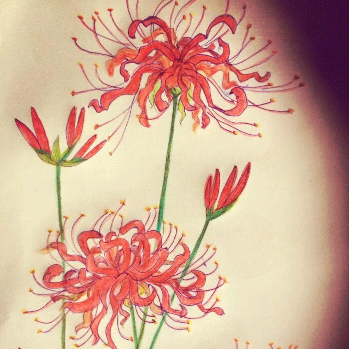 歌迷炒粉姐