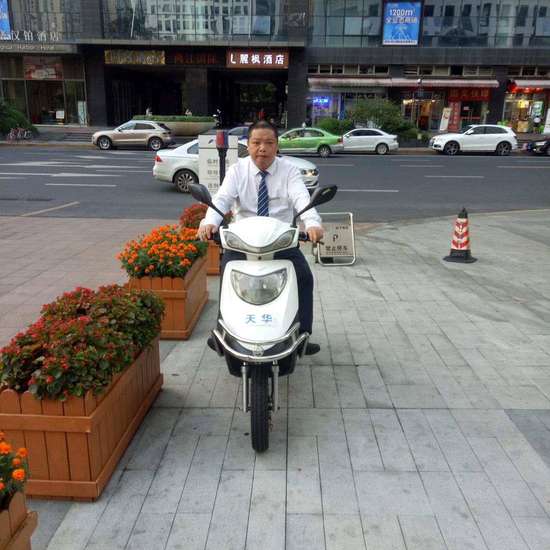 高哥