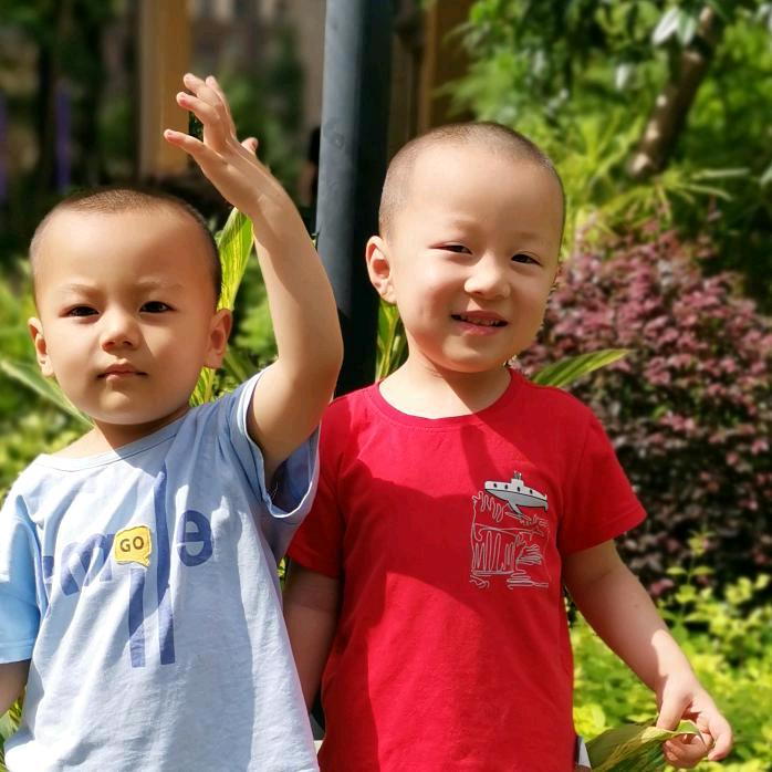 尘缘已尽