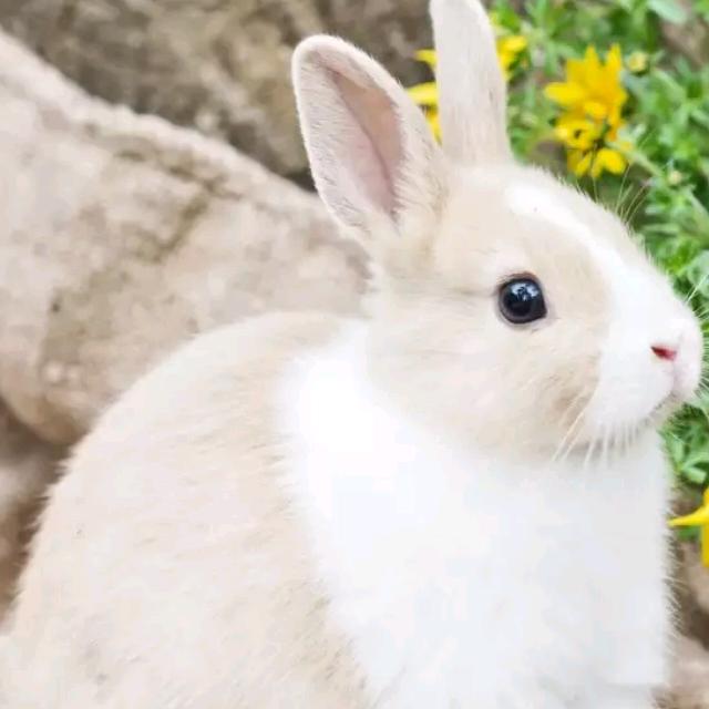 逐步user7857062961697