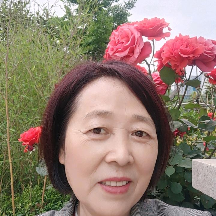 四季分明