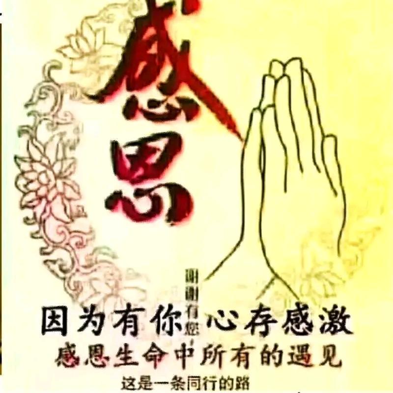 广东二哥（承蒙厚爱）668