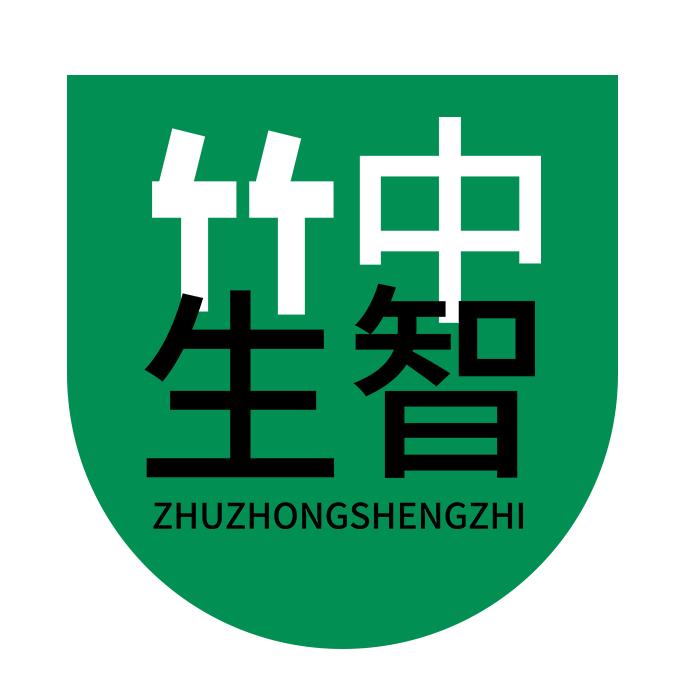 竹中生智官方旗舰店