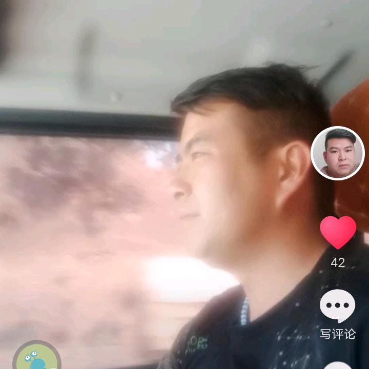 小鲁哥