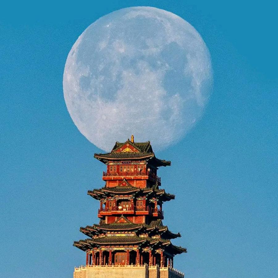 与卿视频