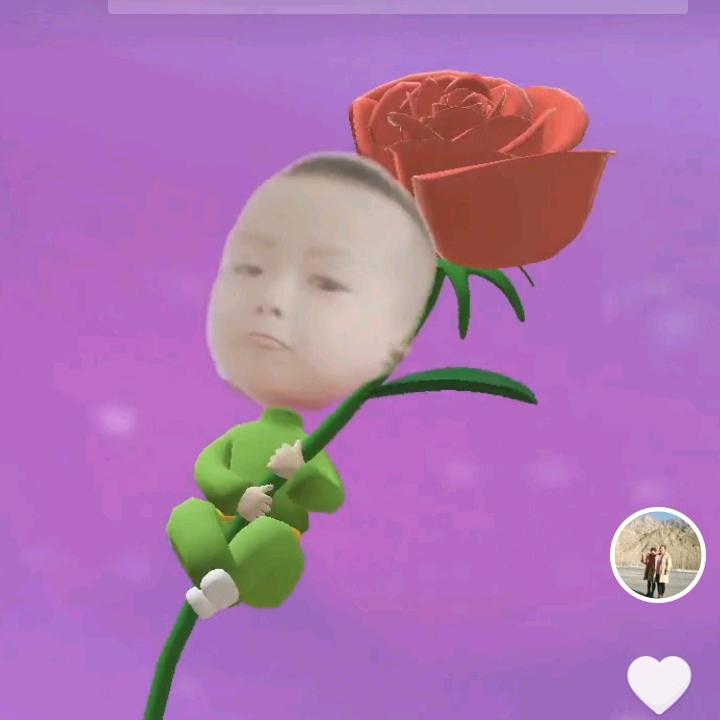 六月的雪花