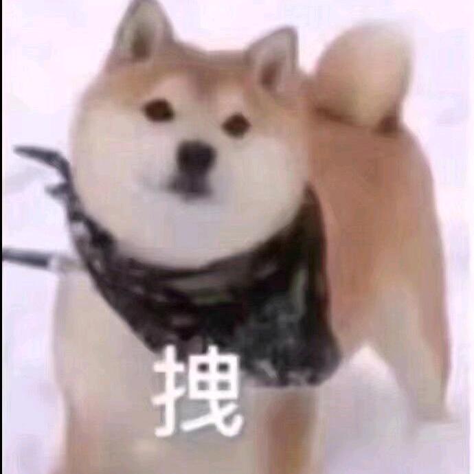 芝士舍利