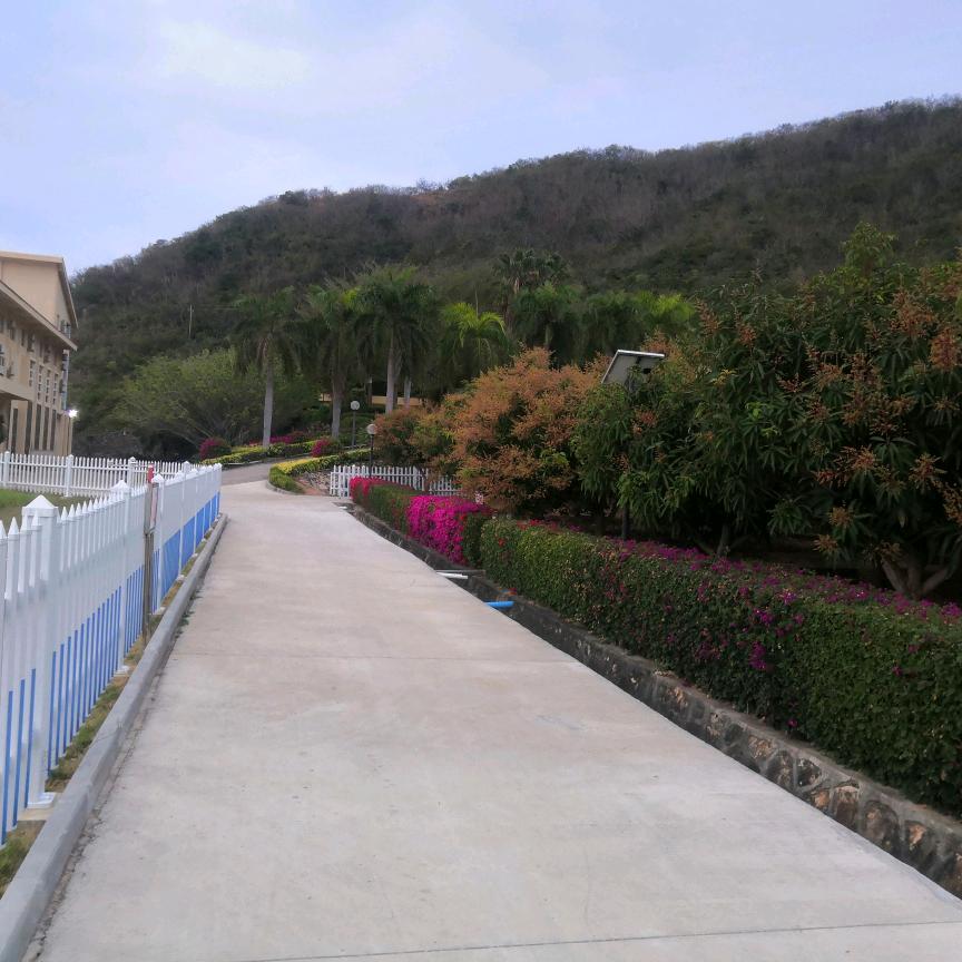 春暖阳光