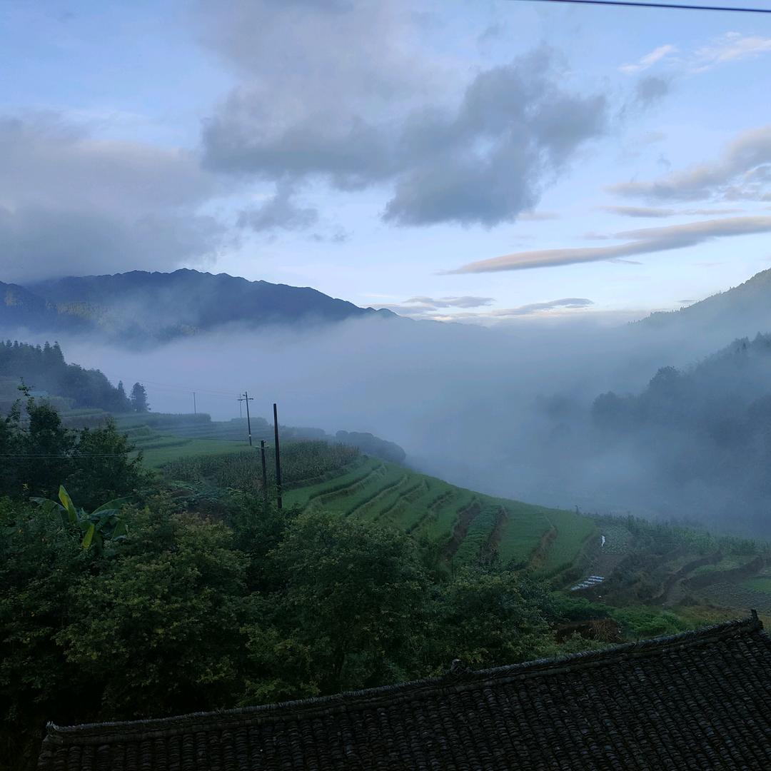 吃碗生榨猪脚粉