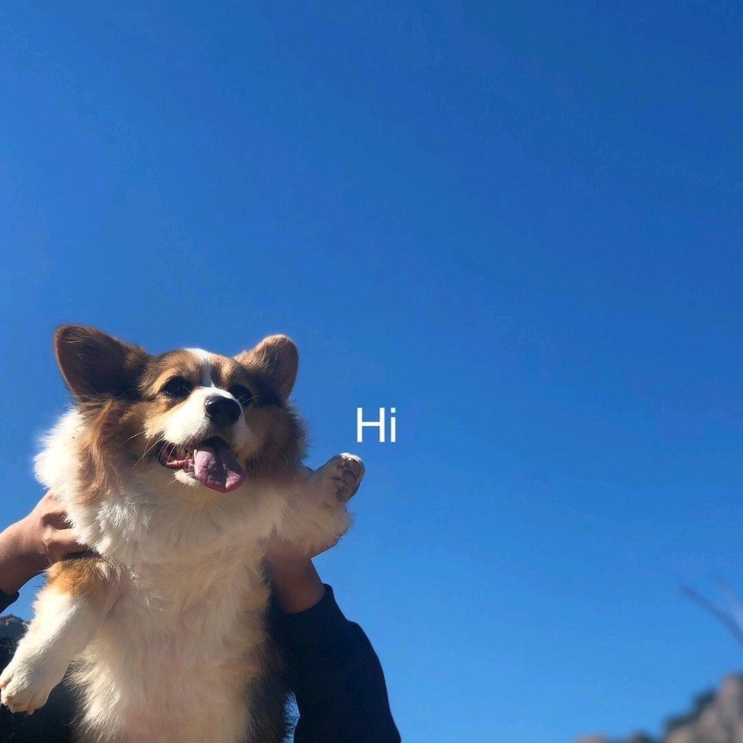 趣保