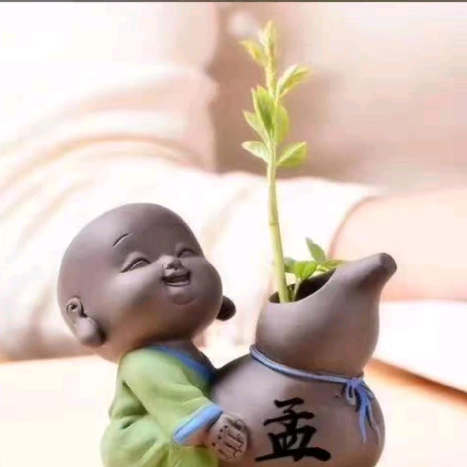 沉默是金lon