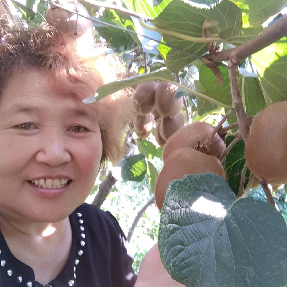 眉县猕猴桃琴姐