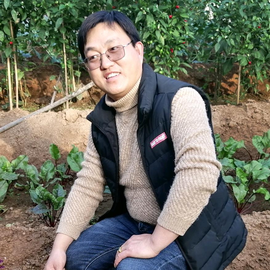 宋果记