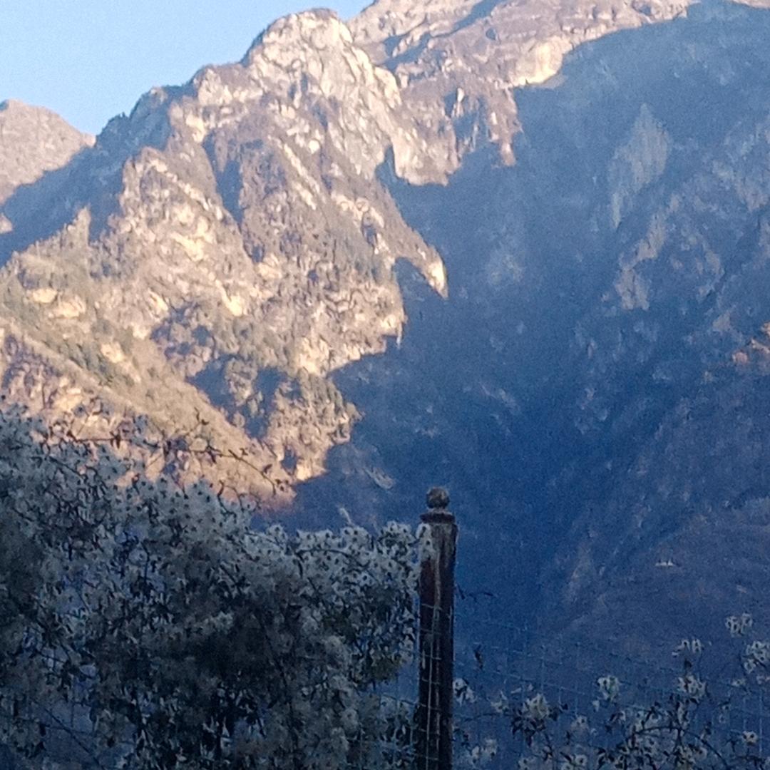 健健康康