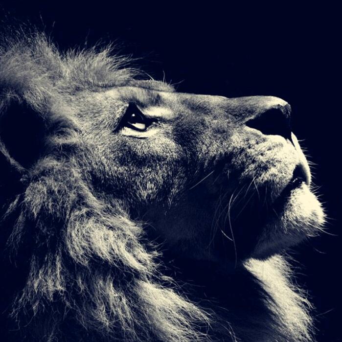 中兴•✨