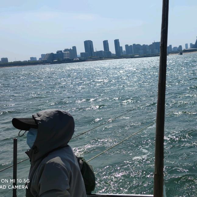 萤火虫不发光。