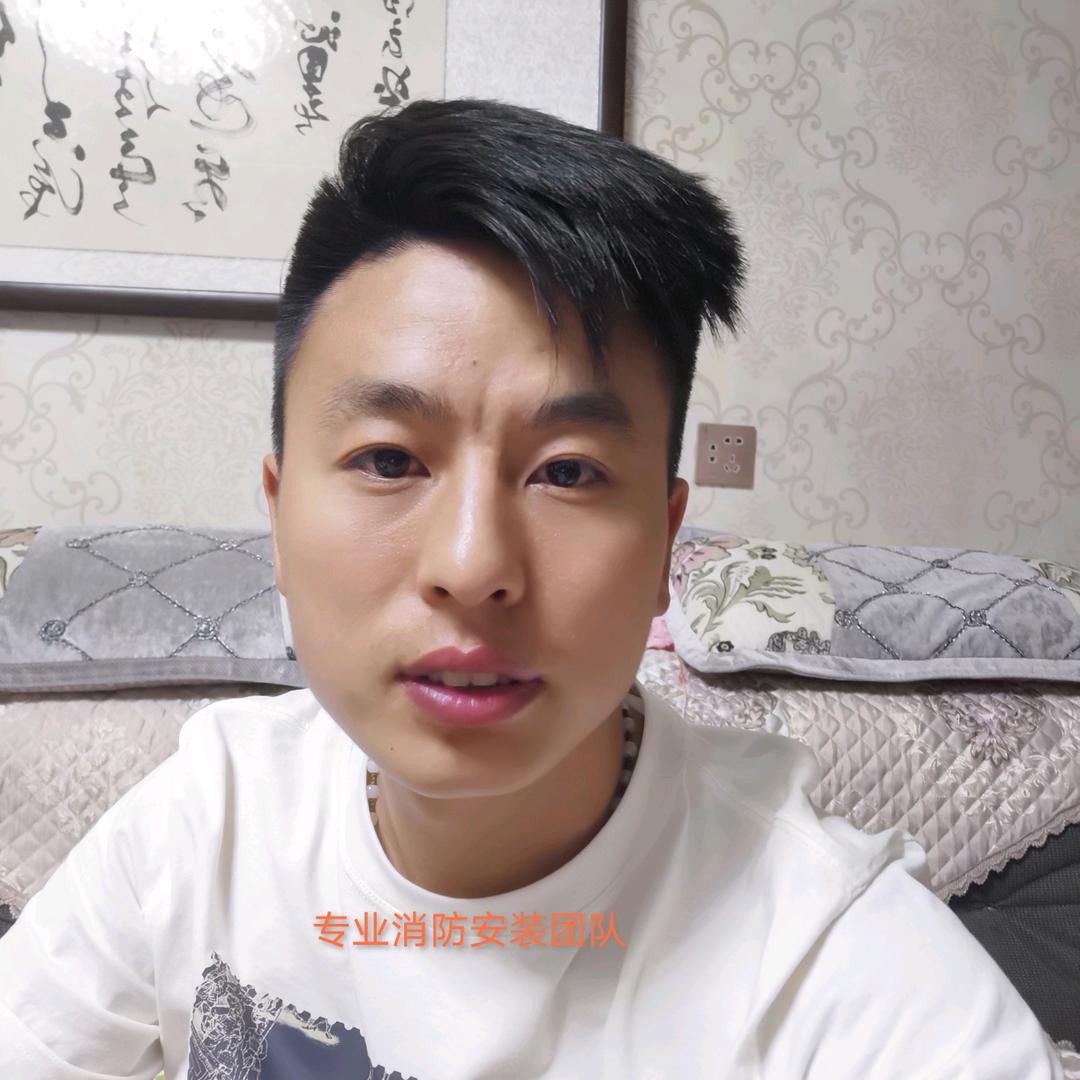 会飞的鱼