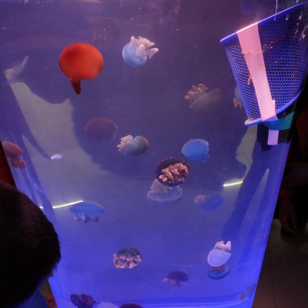 錵開