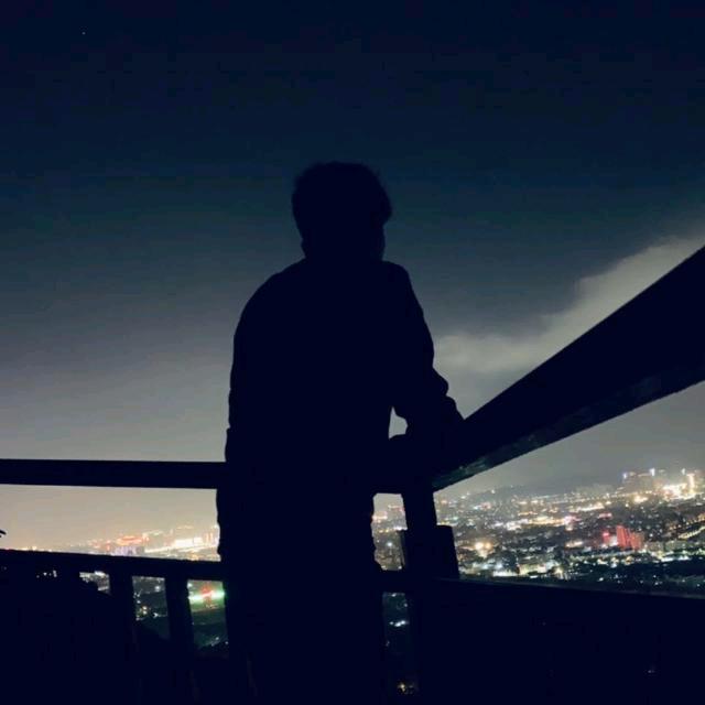 满天星辰只缺你